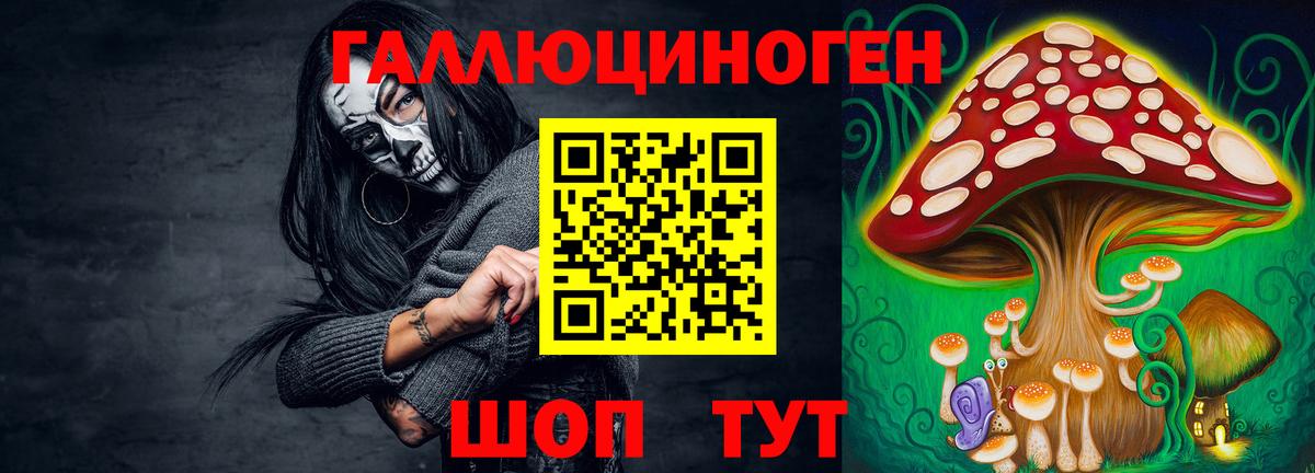 Галлюциногенные грибы мицелий  Псилоцибиновые грибы GOLDEN TEACHER  Качканар  Вход с VPN 